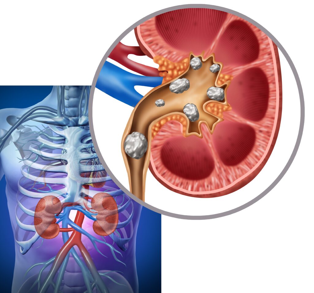 shutterstock 2415117569