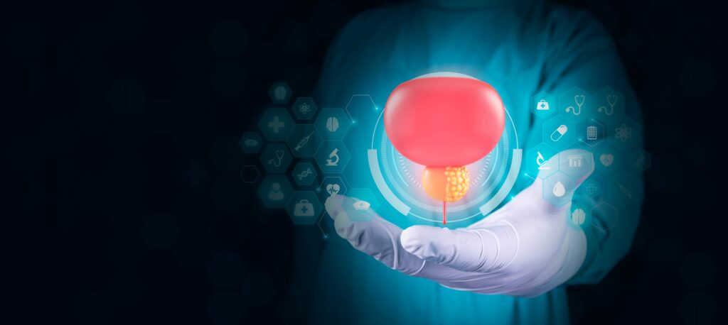 shutterstock 2499910793